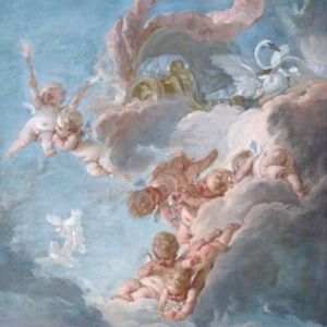 Meet your Posher, Rosy